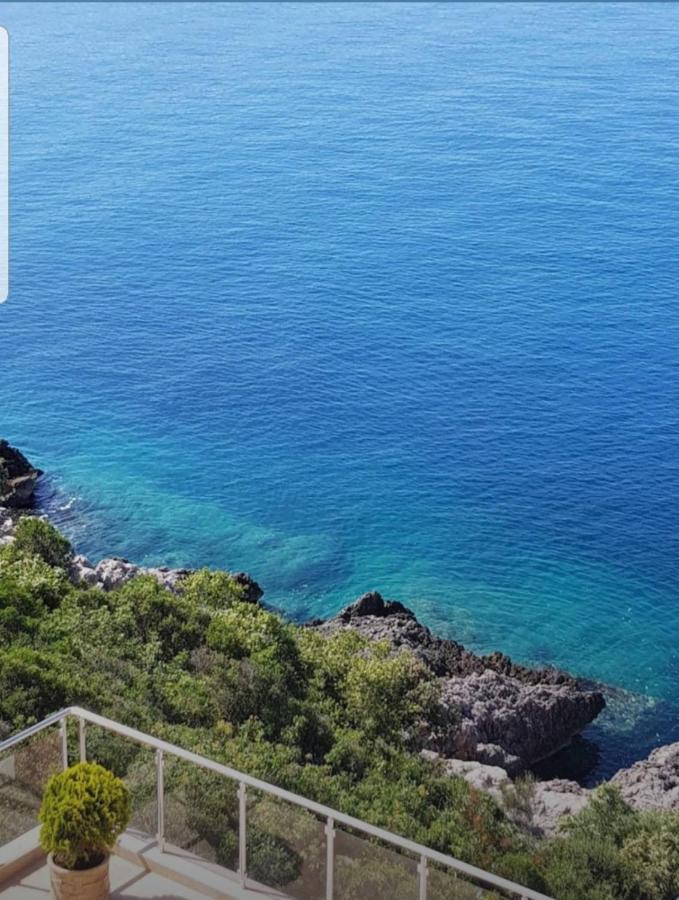 Apartment Sea Space 2 Dobra Voda Εξωτερικό φωτογραφία