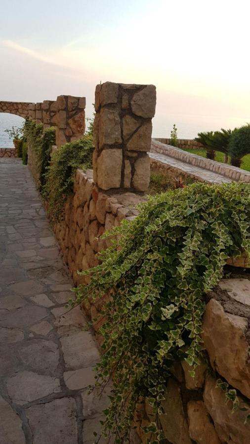 Apartment Sea Space 2 Dobra Voda Εξωτερικό φωτογραφία