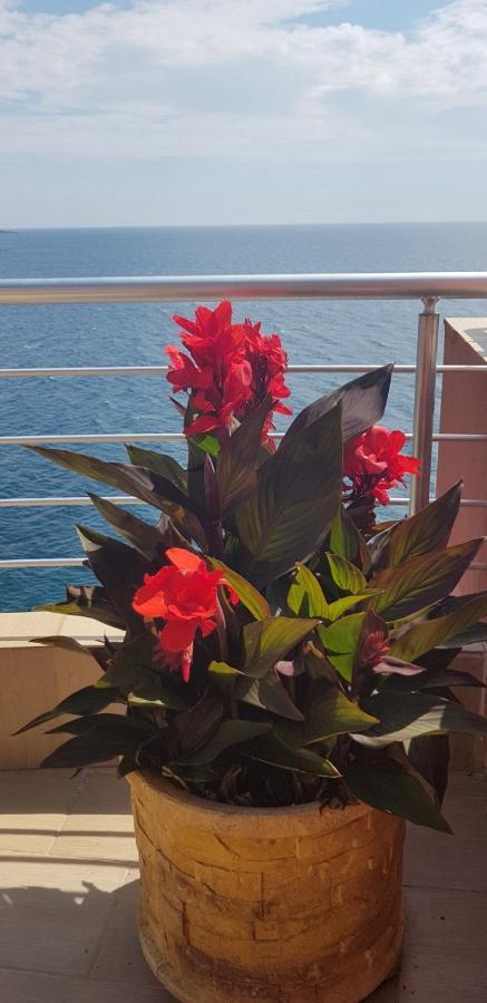 Apartment Sea Space 2 Dobra Voda Εξωτερικό φωτογραφία